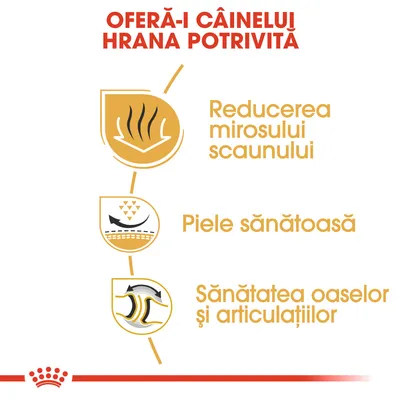 OFERĂ-I CÂINELUI HRANA POTRIVITĂ. Reducerea mirosului scaunului, piele sănătoasă, sănătatea oaselor și articulațiilor.
