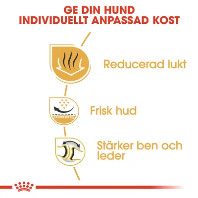 Ge din hund individuellt anpassad kost. Reducerad lukt, frisk hud, stärker ben och leder.