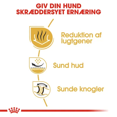 Giv din hund skræddersyet ernæring. Reduktion af lugtgener, sund hud, sunde knogler.