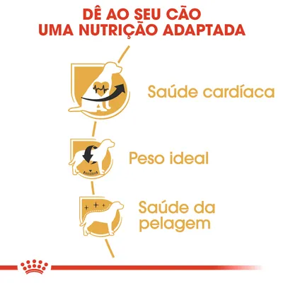 Dê ao seu cão uma nutrição adaptada. Saúde cardíaca, peso ideal, saúde da pelagem.
