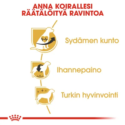 Anna koirallesi räätälöityä ravintoa. Sydämen kunto, ihannepaino, turkin hyvinvointi.