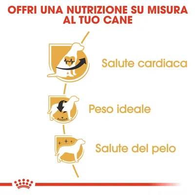 Offri una nutrizione su misura al tuo cane. Salute cardiaca, peso ideale, salute del pelo.