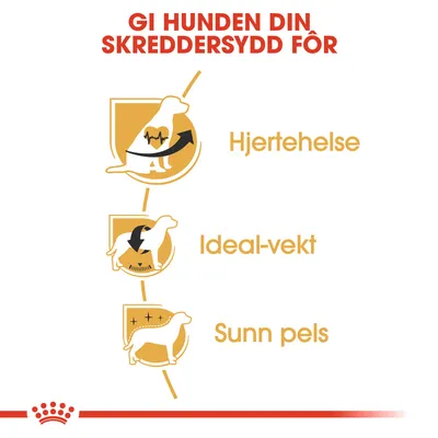 Royal Canin Cavalier King Charles Adult