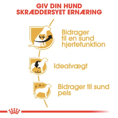 Giv din hund skræddersyet ernæring. Bidrager til en sund hjertefunktion. Idealvægt. Bidrager til sund pels.