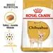 Royal Canin Chihuahua Adult