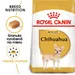 Royal Canin Chihuahua Adult