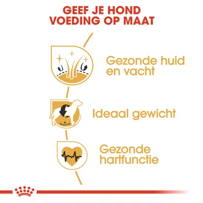 Geef je hond voeding op maat: Gezonde huid en vacht, Ideaal gewicht, Gezonde hartfunctie. Tekst en pictogrammen tonen drie voordelen van aangepaste hondenvoeding.