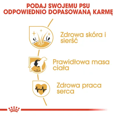 Podaj swojemu psu odpowiednio dopasowaną karmę. Zdrowa skóra i sierść, prawidłowa masa ciała, zdrowa praca serca.