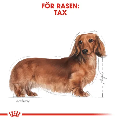 Illustration av en tax med texten 'FÖR RASEN: TAX' ovanför. Lämplig för produkter riktade till taxar.
