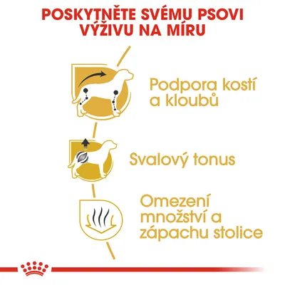 Podpora kostí a kloubů, svalový tonus, omezení množství a zápachu stolice – hlavní benefity krmiva pro psy zobrazené s ikonami psa.