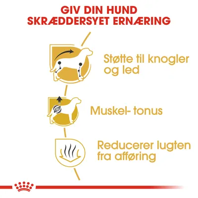 GIV DIN HUND SKRÆDDERSYET ERNÆRING. Støtte til knogler og led. Muskel-tonus. Reducerer lugten fra afføring.