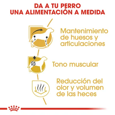 Da a tu perro una alimentación a medida: mantenimiento de huesos y articulaciones, tono muscular, reducción del olor y volumen de las heces.