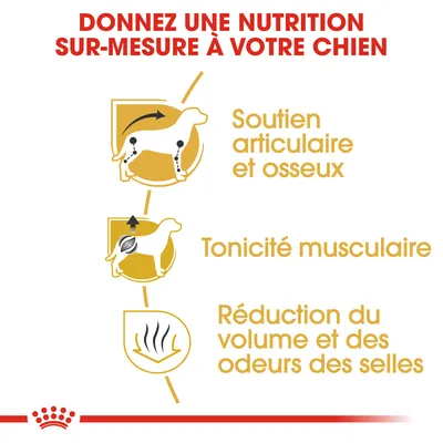 Donnez une nutrition sur-mesure à votre chien : soutien articulaire et osseux, tonicité musculaire, réduction du volume et des odeurs des selles. Texte en français.