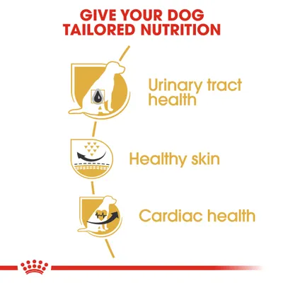 Image listing benefits: urinary tract health, healthy skin, and cardiac health as features of tailored nutrition for dogs.