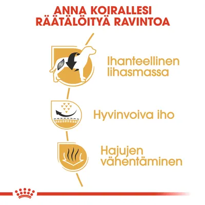 Anna koirallesi räätälöityä ravintoa. Ihanteellinen lihasmassa, hyvinvoiva iho, hajujen vähentäminen.