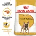 Royal Canin French Bulldog Adult