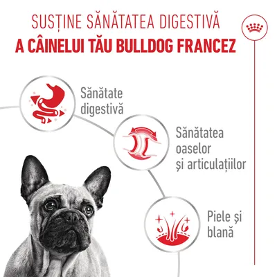 Royal Canin French Bulldog Loaf