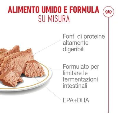 Royal Canin French Bulldog Paté