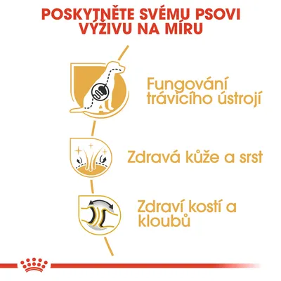 Poskytněte svému psovi výživu na míru. Fungování trávicího ústrojí, zdravá kůže a srst, zdraví kostí a kloubů.