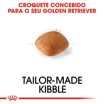 Croquete concebido para o seu Golden Retriever. Texto em inglês: Tailor-made kibble. Mostra um croquete individual de ração.