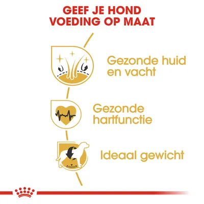 Geef je hond voeding op maat. Gezonde huid en vacht, gezonde hartfunctie, ideaal gewicht.