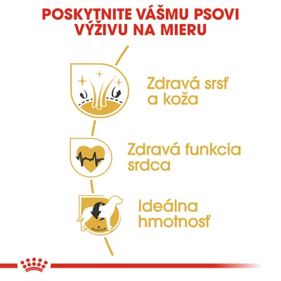 Poskytnite vášmu psovi výživu na mieru: zdravá srsť a koža, zdravá funkcia srdca, ideálna hmotnosť. Text s ikonami srsti, srdca a psa.