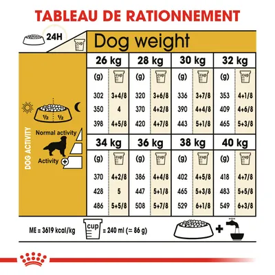 Tableau de rationnement pour chiens 26–40 kg, quantités en grammes et tasses selon activité normale ou élevée. 1 tasse = 240 ml (≈86 g). ME = 3619 kcal/kg. Repas à diviser matin/soir.