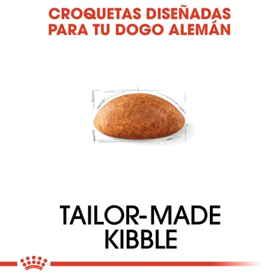 Croquetas diseñadas para tu Dogo Alemán. Tailor-made kibble. Imagen de una croqueta semiesférica sobre fondo blanco.