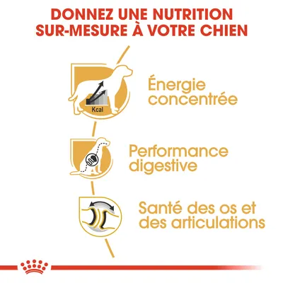 Donnez une nutrition sur-mesure à votre chien : énergie concentrée, performance digestive, santé des os et des articulations. Texte en français belge visible dans l’image.