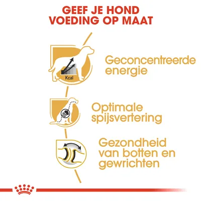 Geef je hond voeding op maat: Geconcentreerde energie, Optimale spijsvertering, Gezondheid van botten en gewrichten. Tekst in het Nederlands.