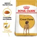 Royal Canin Dogue Allemand Adult pour chien