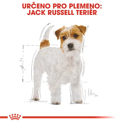 Určeno pro plemeno: Jack Russell teriér. Ilustrace psa s náčrtky rozměrů těla.