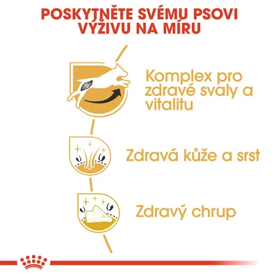 Komplex pro zdravé svaly a vitalitu, zdravá kůže a srst, zdravý chrup. Poskytněte svému psovi výživu na míru.
