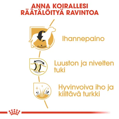 Anna koirallesi räätälöityä ravintoa: ihannepaino, luuston ja nivelten tuki, hyvinvoiva iho ja kiiltävä turkki. Teksti ja symbolit näkyvissä kuvassa.