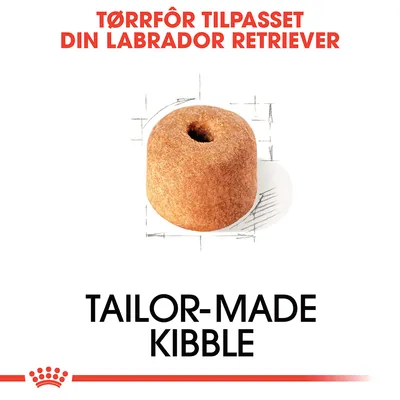 Royal Canin Labrador Retriever Adult