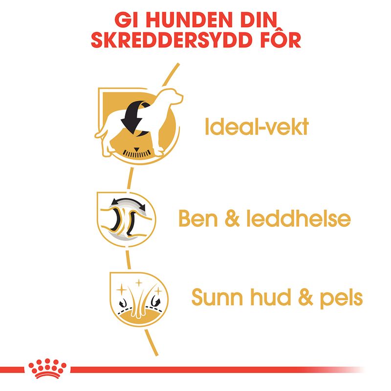 Royal Canin Labrador Retriever Adult
