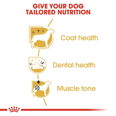 Tekst na engleskom: Give your dog tailored nutrition. Coat health, dental health, muscle tone uz ilustracije psa i zuba. Prikaz tri ključne prednosti za pse.