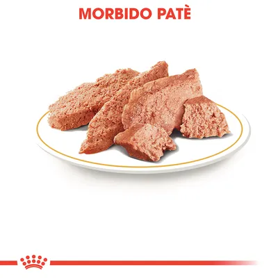 Morbido patè su piatto bianco, testo in alto: MORBIDO PATÈ