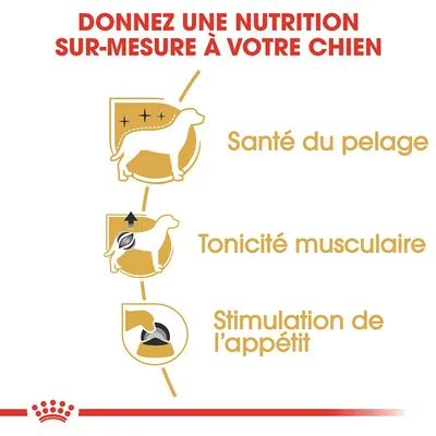 Donnez une nutrition sur-mesure à votre chien. Santé du pelage, tonicité musculaire, stimulation de l’appétit. Texte en français belge.