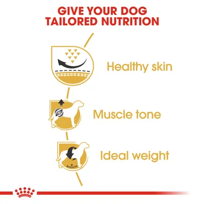 GIVE YOUR DOG TAILORED NUTRITION. Healthy skin, Muscle tone, Ideal weight (κείμενο στα αγγλικά). Εικονίδια σκύλου με αναφορές σε δέρμα, μυϊκό τόνο και ιδανικό βάρος.
