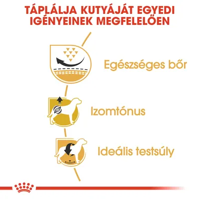 Táplálja kutyáját egyedi igényeinek megfelelően: Egészséges bőr, Izomtónus, Ideális testsúly. Három ikon kutya sziluettel és grafikus elemekkel.