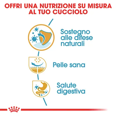 Offri una nutrizione su misura al tuo cucciolo: sostegno alle difese naturali, pelle sana, salute digestiva. Testo e icone illustrative.