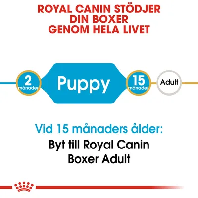 ROYAL CANIN STÖDJER DIN BOXER GENOM HELA LIVET. Puppy 2 månader till 15 månader. Vid 15 månaders ålder: Byt till Royal Canin Boxer Adult.
