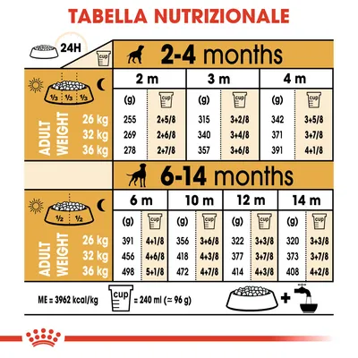 Tabella nutrizionale per cani: dosi giornaliere in grammi e cup per età (2–14 mesi) e peso adulto (26, 32, 36 kg). 1 cup = 240 ml ≈ 96 g. ME = 3962 kcal/kg.