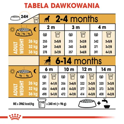 Tabela dawkowania karmy dla szczeniąt według wieku (2–14 miesięcy) i docelowej wagi dorosłego psa: 26 kg, 32 kg, 36 kg. Podano ilości w gramach i miarkach na dzień.