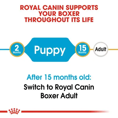 Feeding guide: Use Royal Canin Boxer Puppy from 2 to 15 months, then switch to Royal Canin Boxer Adult after 15 months old.