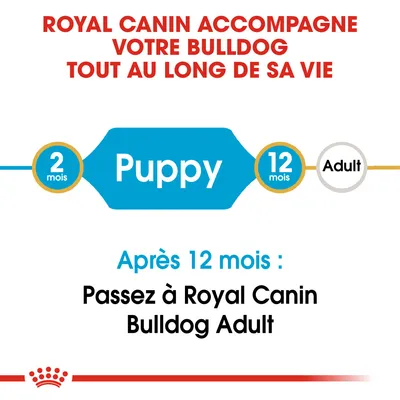 ROYAL CANIN accompagne votre bulldog tout au long de sa vie. Puppy 2–12 mois. Après 12 mois : Passez à Royal Canin Bulldog Adult.