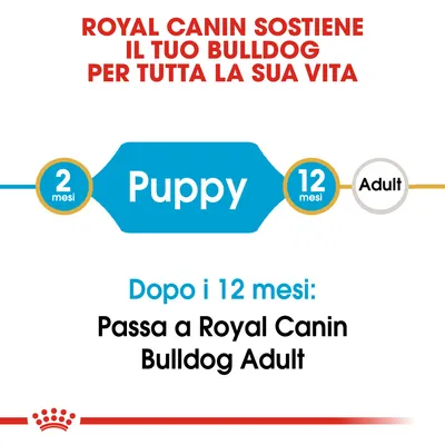 Royal Canin sostiene il tuo bulldog per tutta la sua vita. Puppy da 2 a 12 mesi, poi passa a Royal Canin Bulldog Adult dopo i 12 mesi. Testo in italiano.