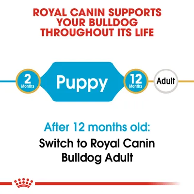 ROYAL CANIN SUPPORTS YOUR BULLDOG THROUGHOUT ITS LIFE. 2 Months Puppy 12 Months Adult. After 12 months old: Switch to Royal Canin Bulldog Adult. (teksti englanniksi)