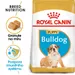 Royal Canin Bulldog Puppy